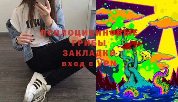 шишки Балахна