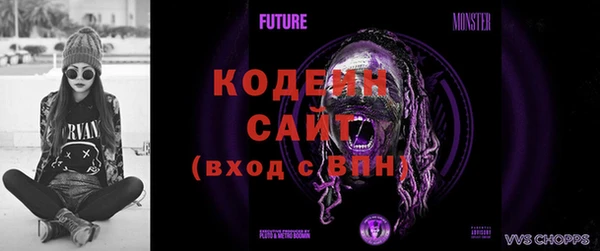 шишки Балахна