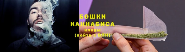 шишки Балахна