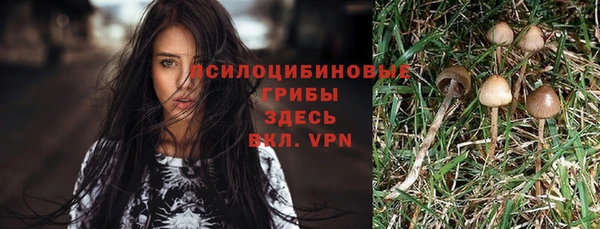 шишки Балахна