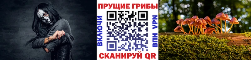Псилоцибиновые грибы Psilocybe  Слободской 